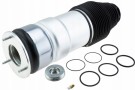 Luftbelg Bak Tesla S - 6006353-04-A thumbnail