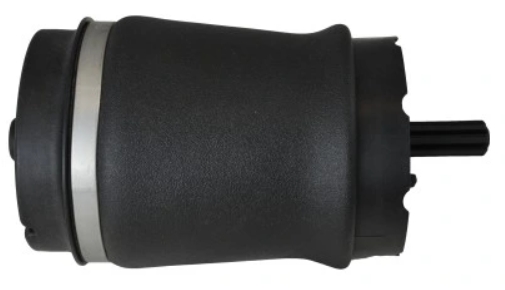 Luftbelg Bak Range rover (L322) - RKB500240